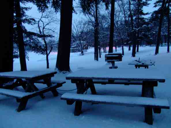 lonelypicnictables_1.jpg
